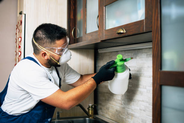 Best Wildlife Control Services  in South Jacksonvle, IL