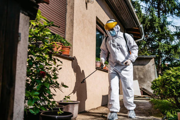 Best Rat Extermination Near Me  in South Jacksonvle, IL