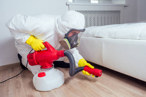 Best Affordable Pest Control Services  in South Jacksonvle, IL