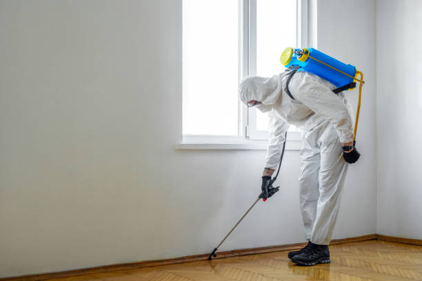 Pest Control for Restaurants in South Jacksonville, IL