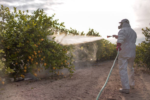 Best Affordable Pest Control Services  in South Jacksonvle, IL