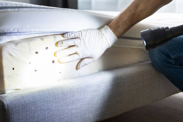 Best Bed Bug Extermination  in South Jacksonvle, IL