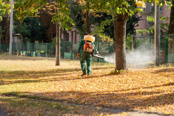 Best Local Pest Control Services  in South Jacksonvle, IL