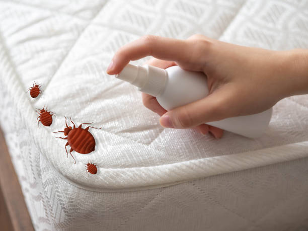 Best Pest Control for Homes  in South Jacksonvle, IL