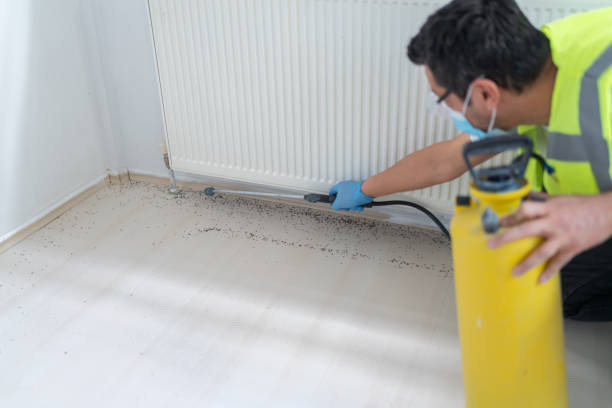 Professional Pest Control in South Jacksonville, IL